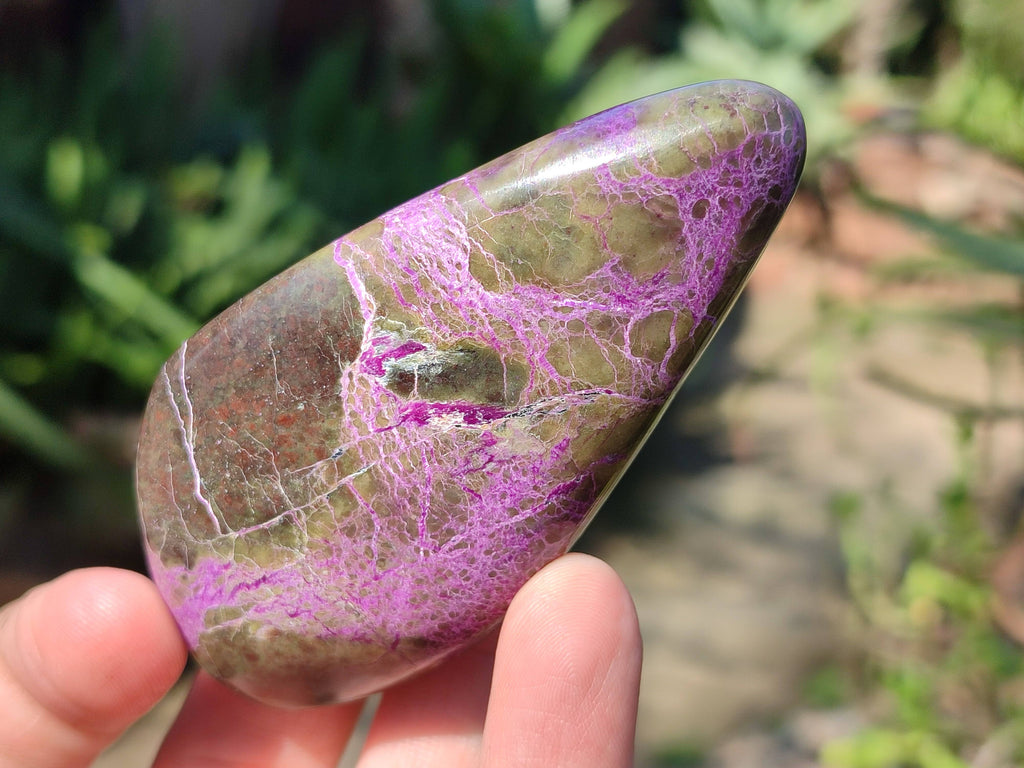 Polished Stichtite Free Forms x 6 From Barberton, South Africa - Toprock Gemstones and Minerals 