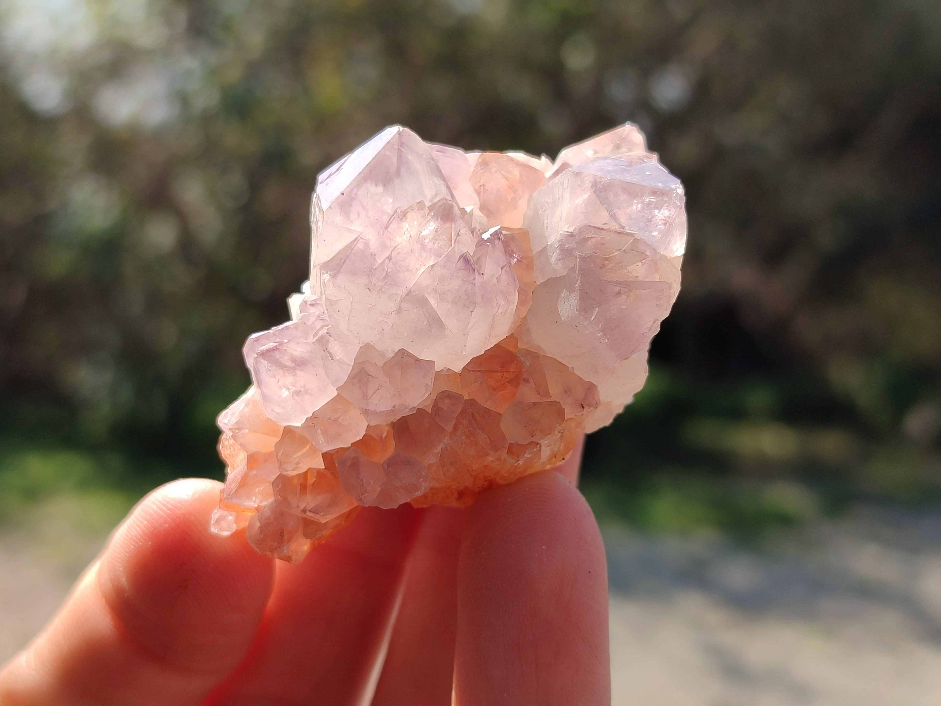 Natural Amethyst Spirit Quartz Clusters x 20 From Boekenhouthoek, South Africa - Toprock Gemstones and Minerals 
