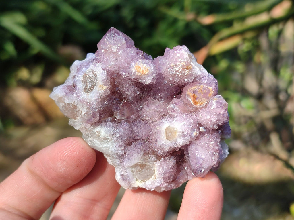 Natural Amethyst Spirit Quartz Clusters x 20 From Boekenhouthoek, South Africa - Toprock Gemstones and Minerals 