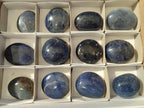 Polished Lazulite Palm Stones x 12 From Madagascar - Toprock Gemstones and Minerals 