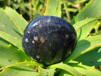 Polished Lazulite Palm Stones x 12 From Madagascar