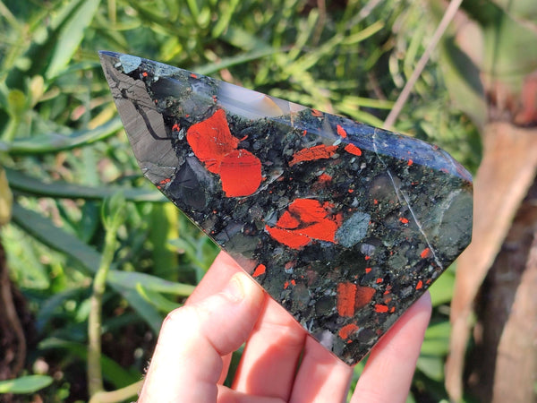 Polished Bloodstone Points x 3 From Swaziland - Toprock Gemstones and Minerals 