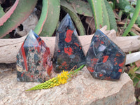 Polished Bloodstone Points x 3 From Swaziland - Toprock Gemstones and Minerals 