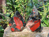 Polished Bloodstone Points x 3 From Swaziland - Toprock Gemstones and Minerals 