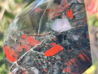 Polished Bloodstone Points x 3 From Swaziland - Toprock Gemstones and Minerals 