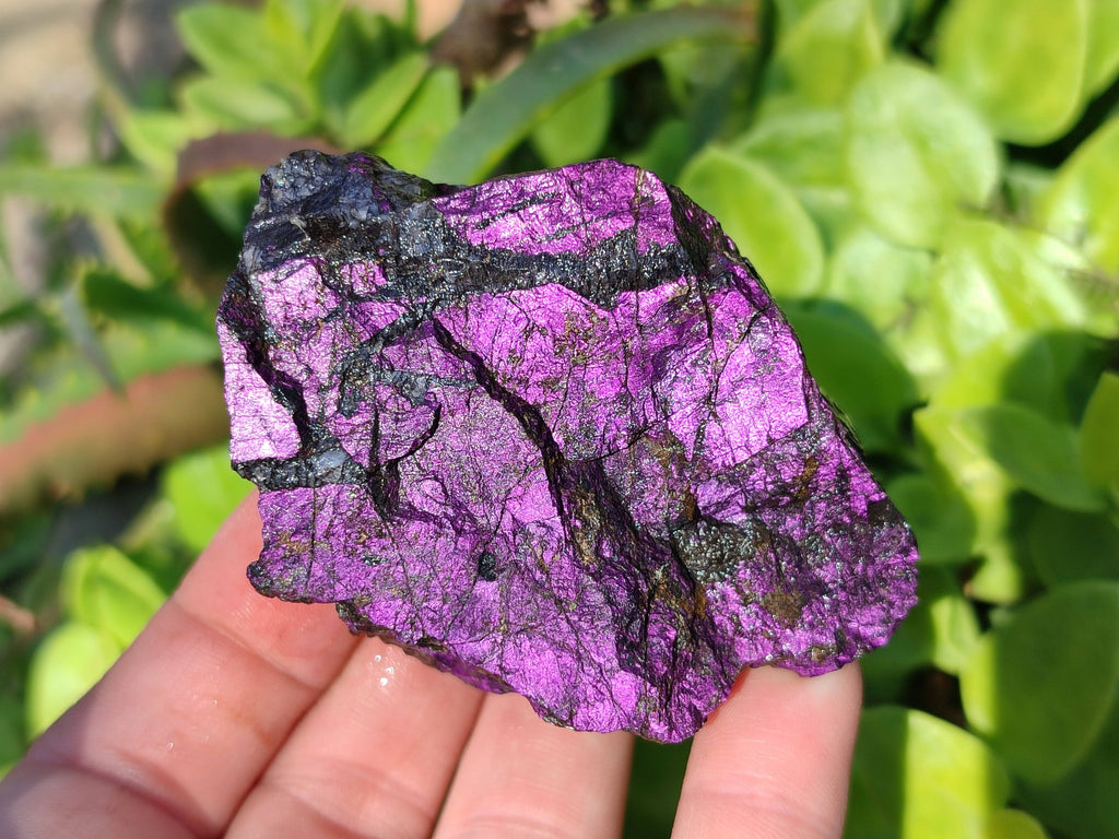 Natural Metallic Purpurite Specimens x 12 From Erongo, Namibia - Toprock Gemstones and Minerals 