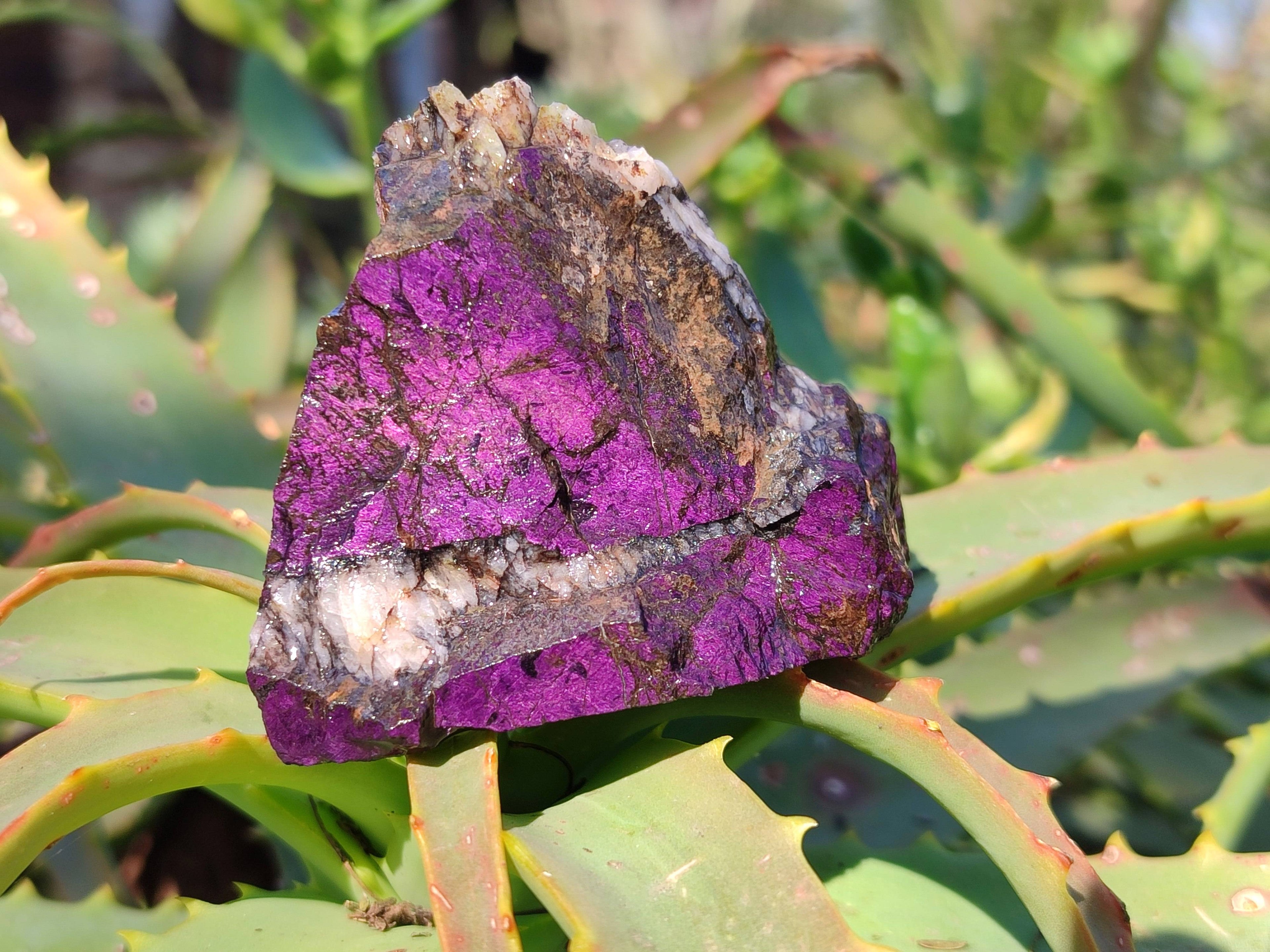 Natural Metallic Purpurite Specimens x 12 From Erongo, Namibia - Toprock Gemstones and Minerals 