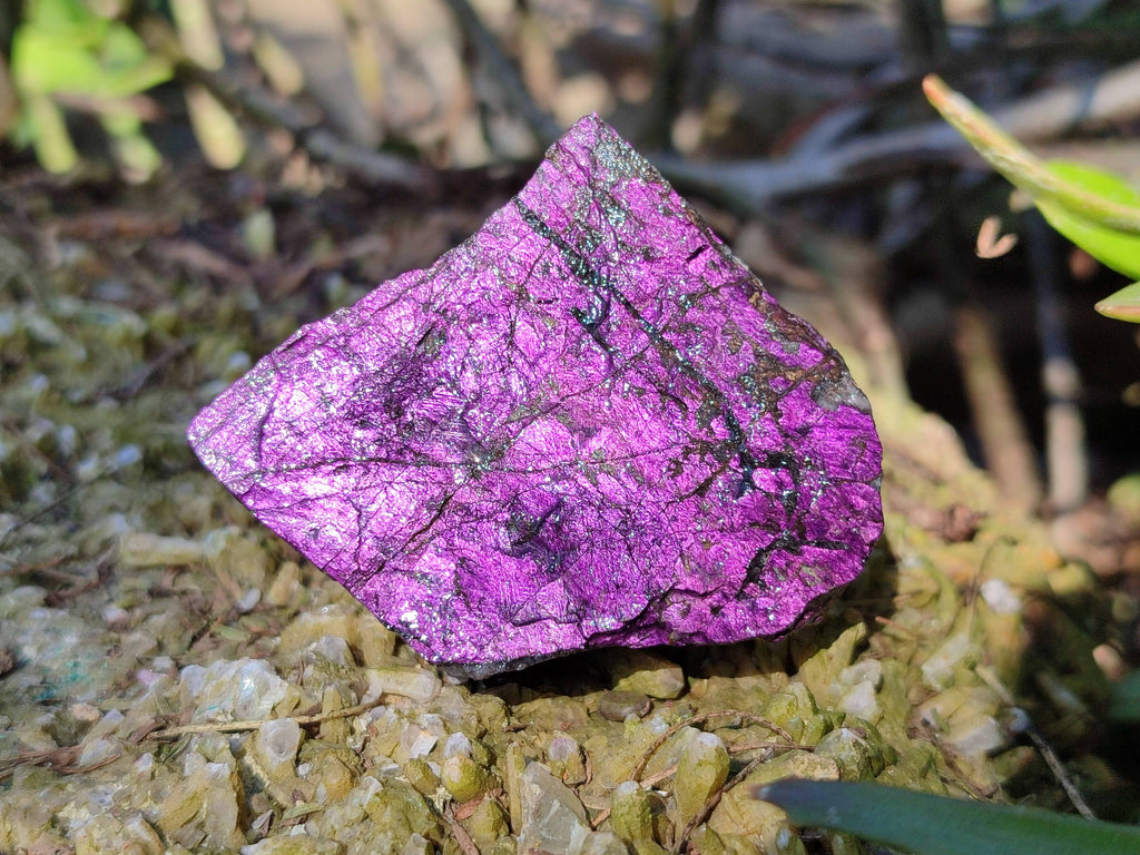 Natural Metallic Purpurite Specimens x 12 From Erongo, Namibia - Toprock Gemstones and Minerals 