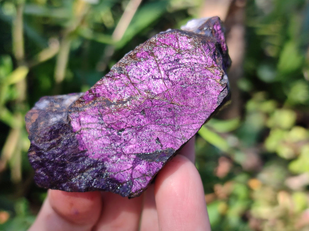 Natural Metallic Purpurite Specimens x 12 From Erongo, Namibia - Toprock Gemstones and Minerals 