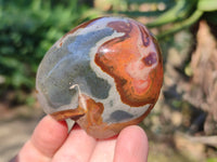 Polished On One Side Polychrome Jasper Nodules x 12 From NW Coast, Madagascar