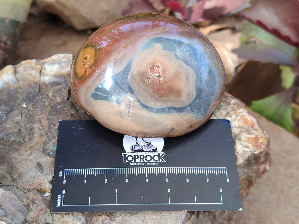 Polished On One Side Polychrome Jasper Nodules x 12 From NW Coast, Madagascar - Toprock Gemstones and Minerals 