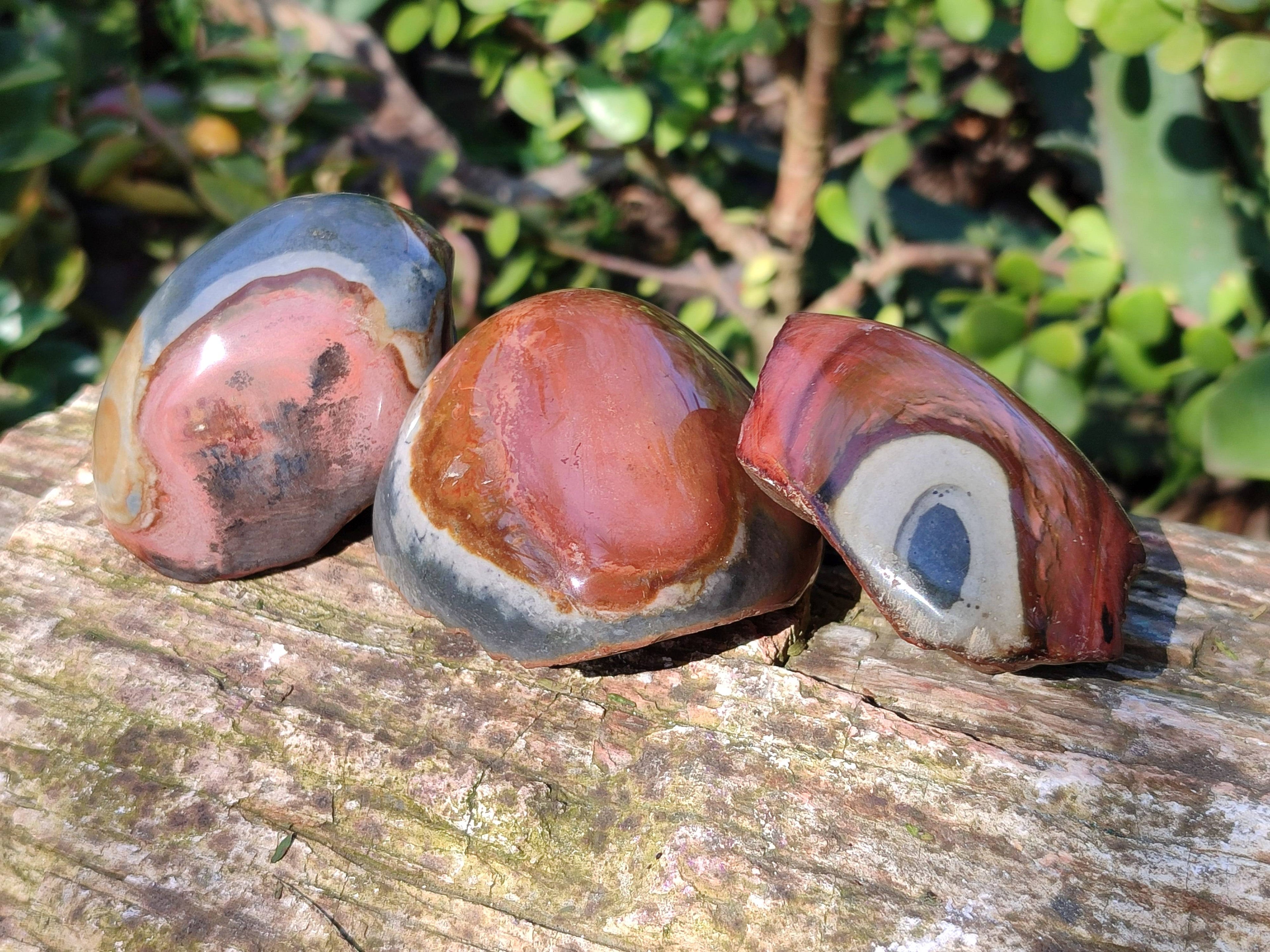 Polished On One Side Polychrome Jasper Nodules x 12 From NW Coast, Madagascar - Toprock Gemstones and Minerals 