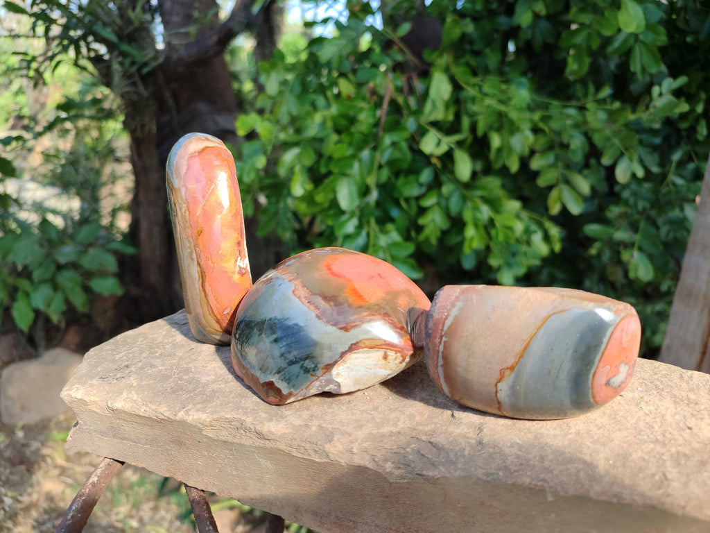 Polished On One Side Polychrome Jasper Nodules x 12 From NW Coast, Madagascar - Toprock Gemstones and Minerals 