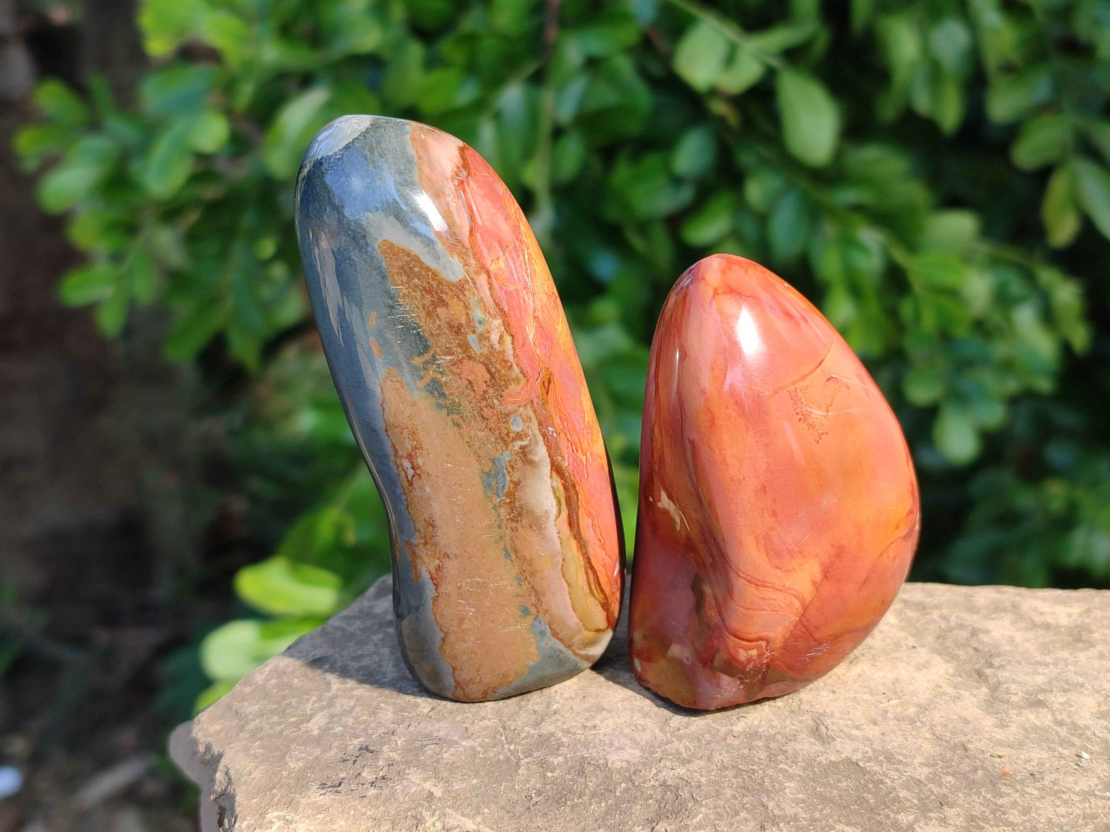 Polished On One Side Polychrome Jasper Nodules x 12 From NW Coast, Madagascar - Toprock Gemstones and Minerals 
