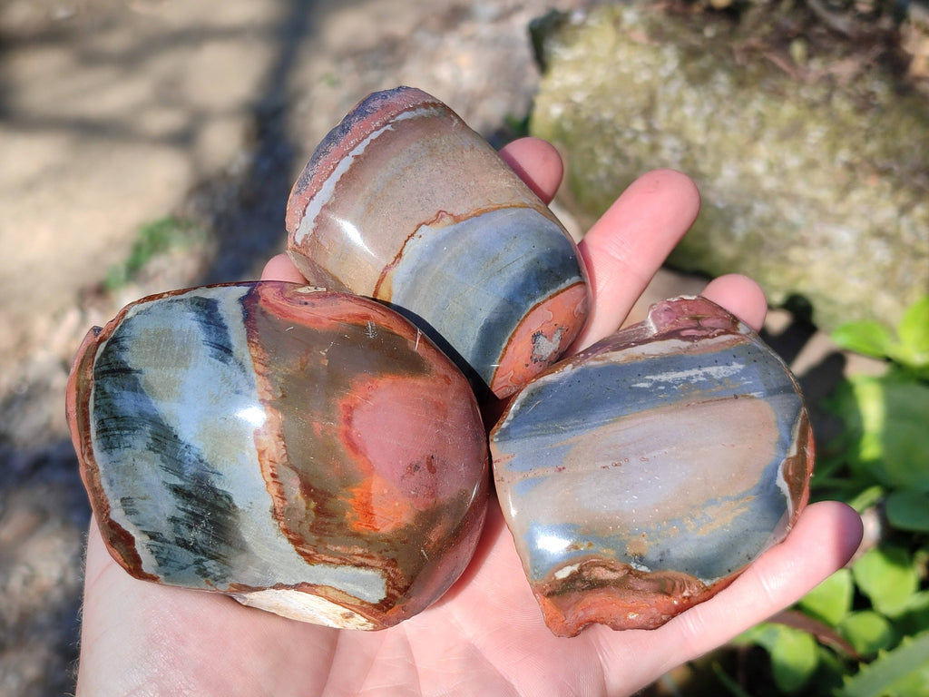 Polished On One Side Polychrome Jasper Nodules x 12 From NW Coast, Madagascar - Toprock Gemstones and Minerals 