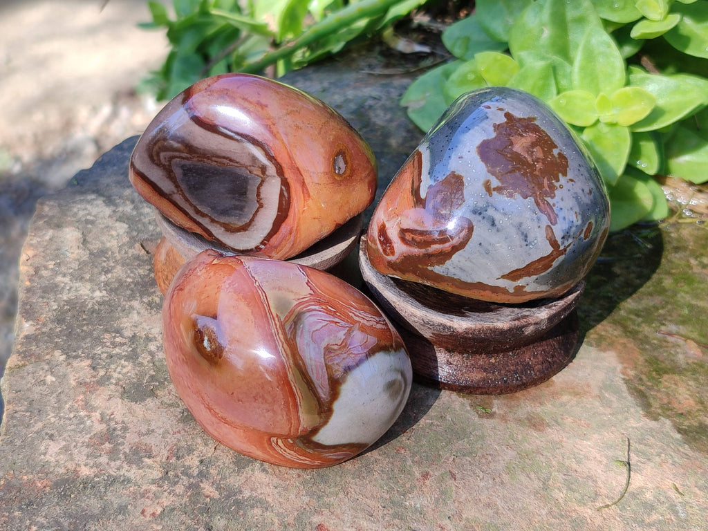 Polished On One Side Polychrome Jasper Nodules x 12 From NW Coast, Madagascar - Toprock Gemstones and Minerals 