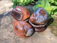Polished On One Side Polychrome Jasper Nodules x 12 From NW Coast, Madagascar