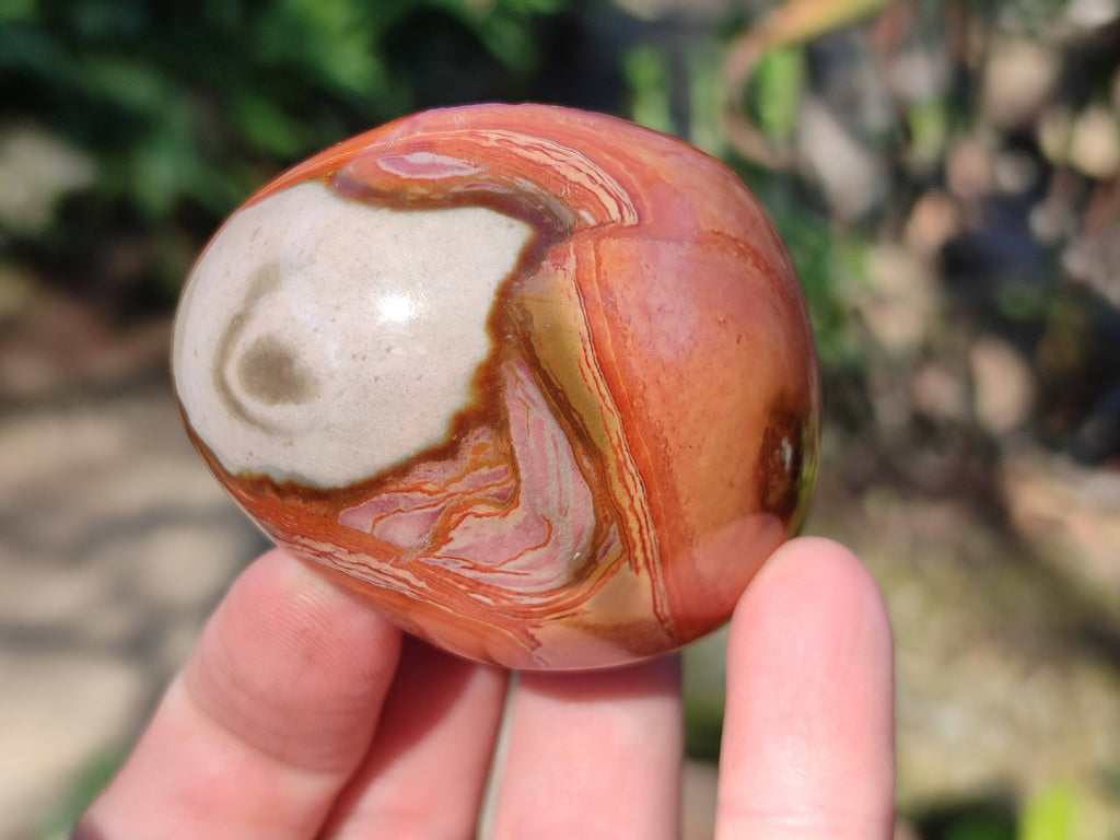 Polished On One Side Polychrome Jasper Nodules x 12 From NW Coast, Madagascar - Toprock Gemstones and Minerals 