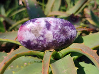 Polished Lepidolite With Pink Rubellite Palm Stones x 12 From Ambatondrazaka, Madagascar