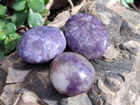 Polished Lepidolite With Pink Rubellite Palm Stones x 12 From Ambatondrazaka, Madagascar