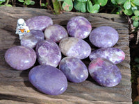 Polished Lepidolite With Pink Rubellite Palm Stones x 12 From Ambatondrazaka, Madagascar