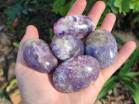 Polished Lepidolite With Pink Rubellite Palm Stones x 12 From Ambatondrazaka, Madagascar