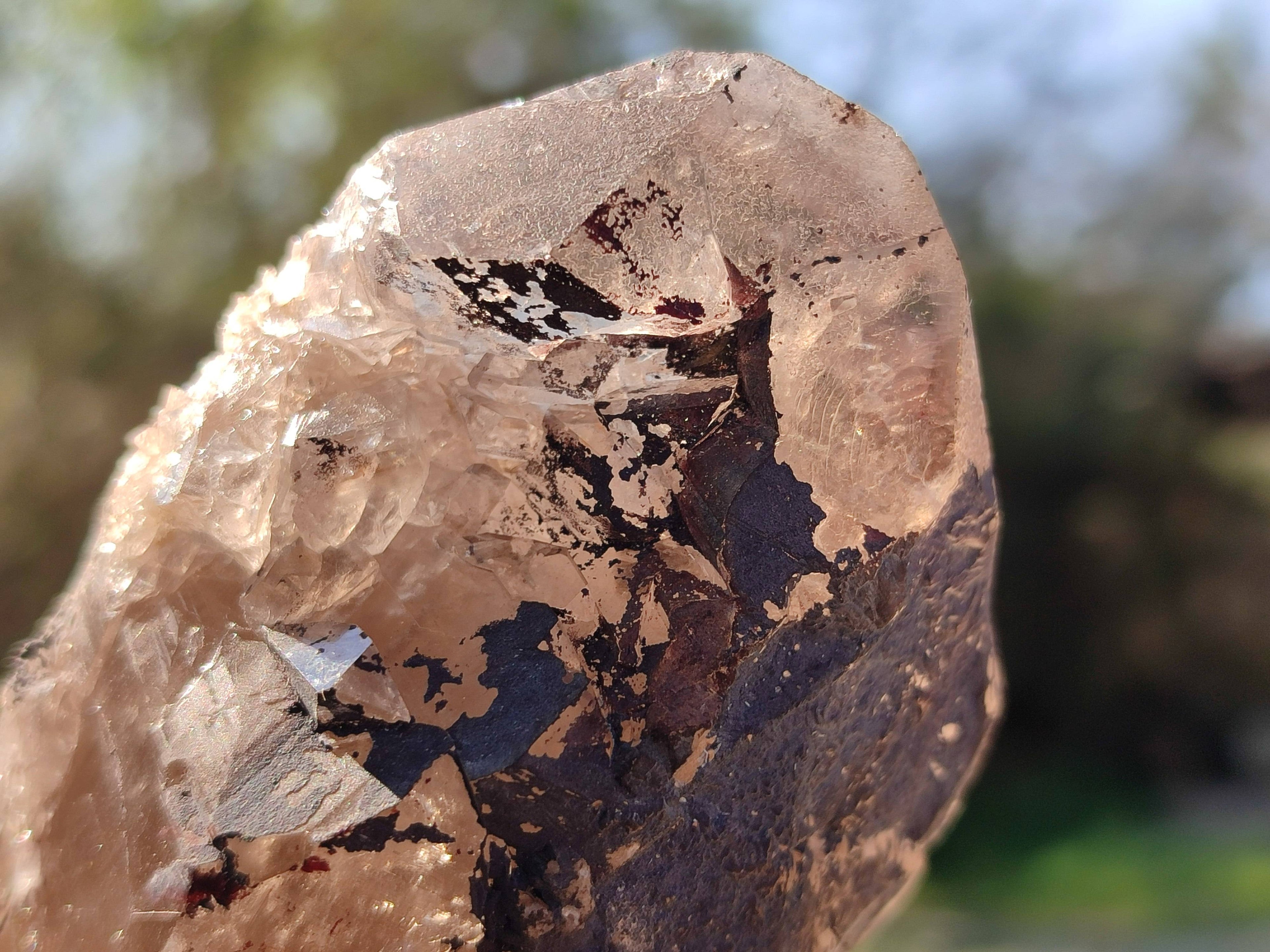 Natural Smokey Quartz Crystals x 13 From Mulanje, Malawi - Toprock Gemstones and Minerals 