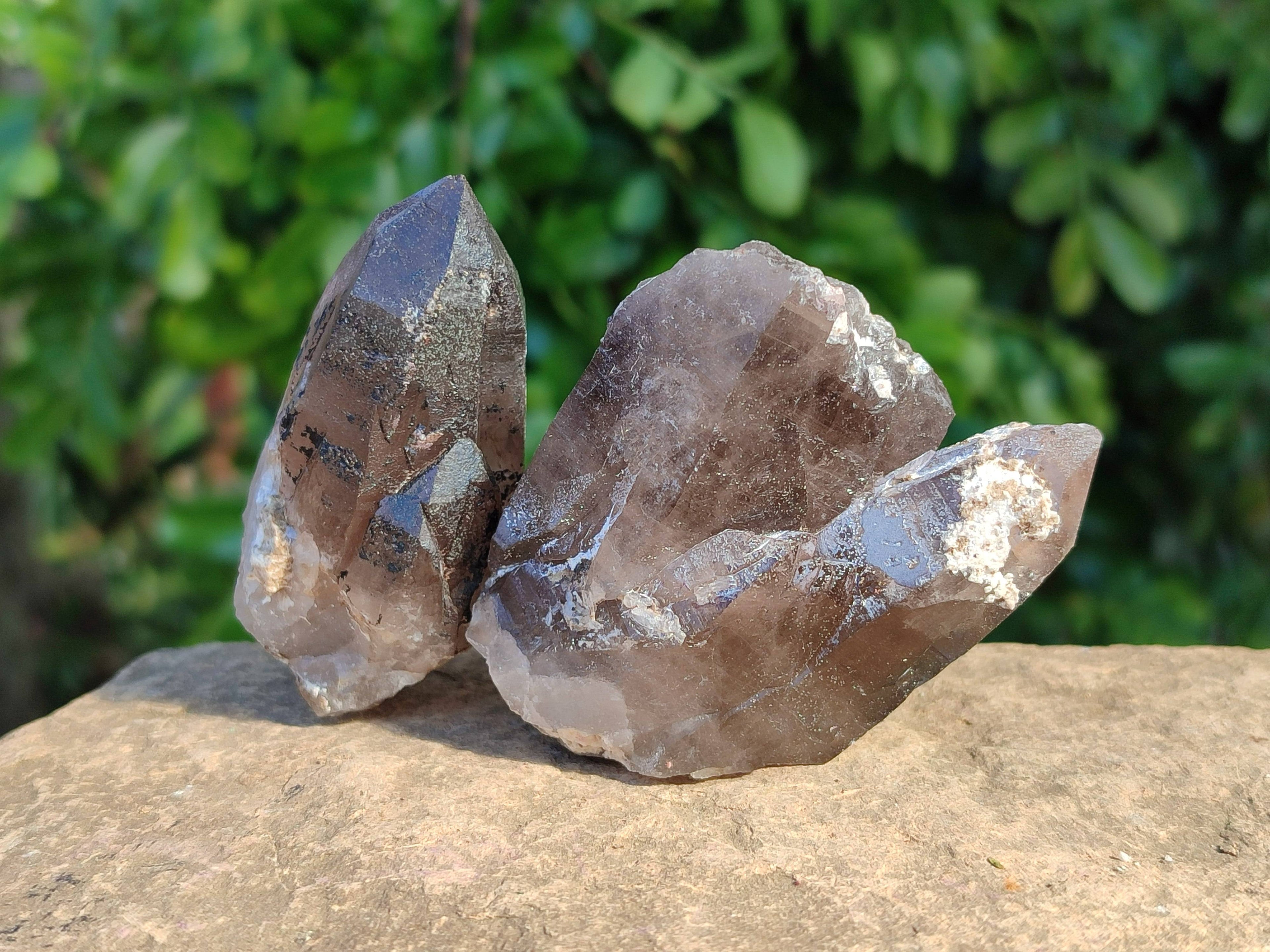Natural Smokey Quartz Crystals x 13 From Mulanje, Malawi - Toprock Gemstones and Minerals 