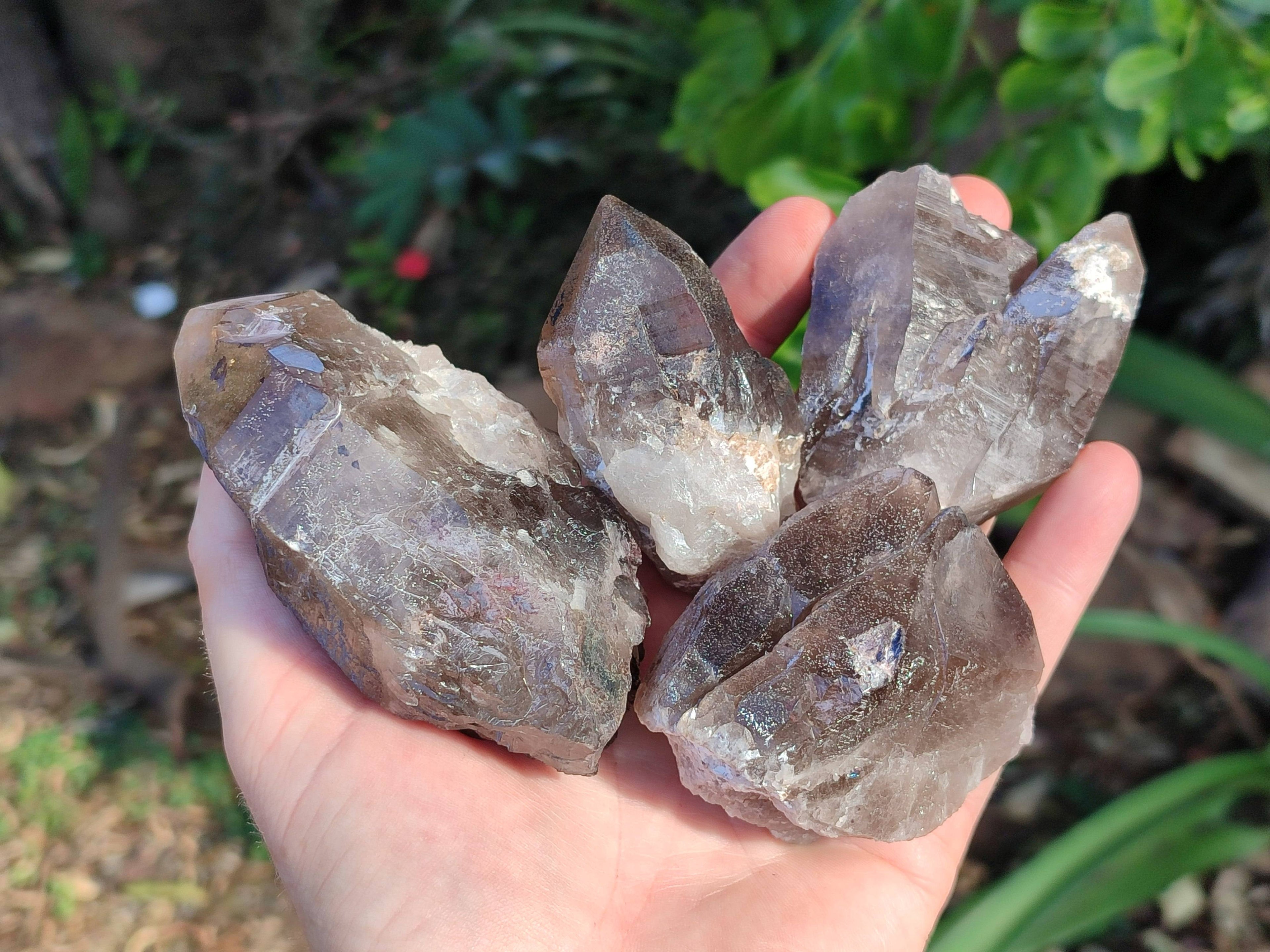 Natural Smokey Quartz Crystals x 13 From Mulanje, Malawi - Toprock Gemstones and Minerals 