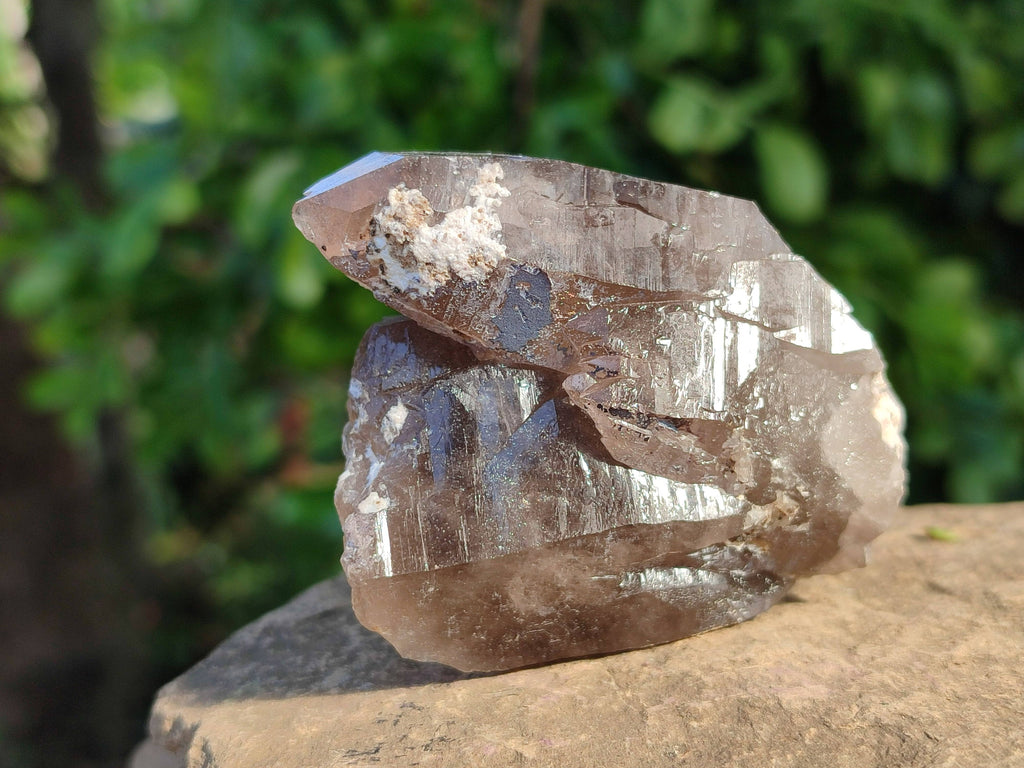Natural Smokey Quartz Crystals x 13 From Mulanje, Malawi - Toprock Gemstones and Minerals 