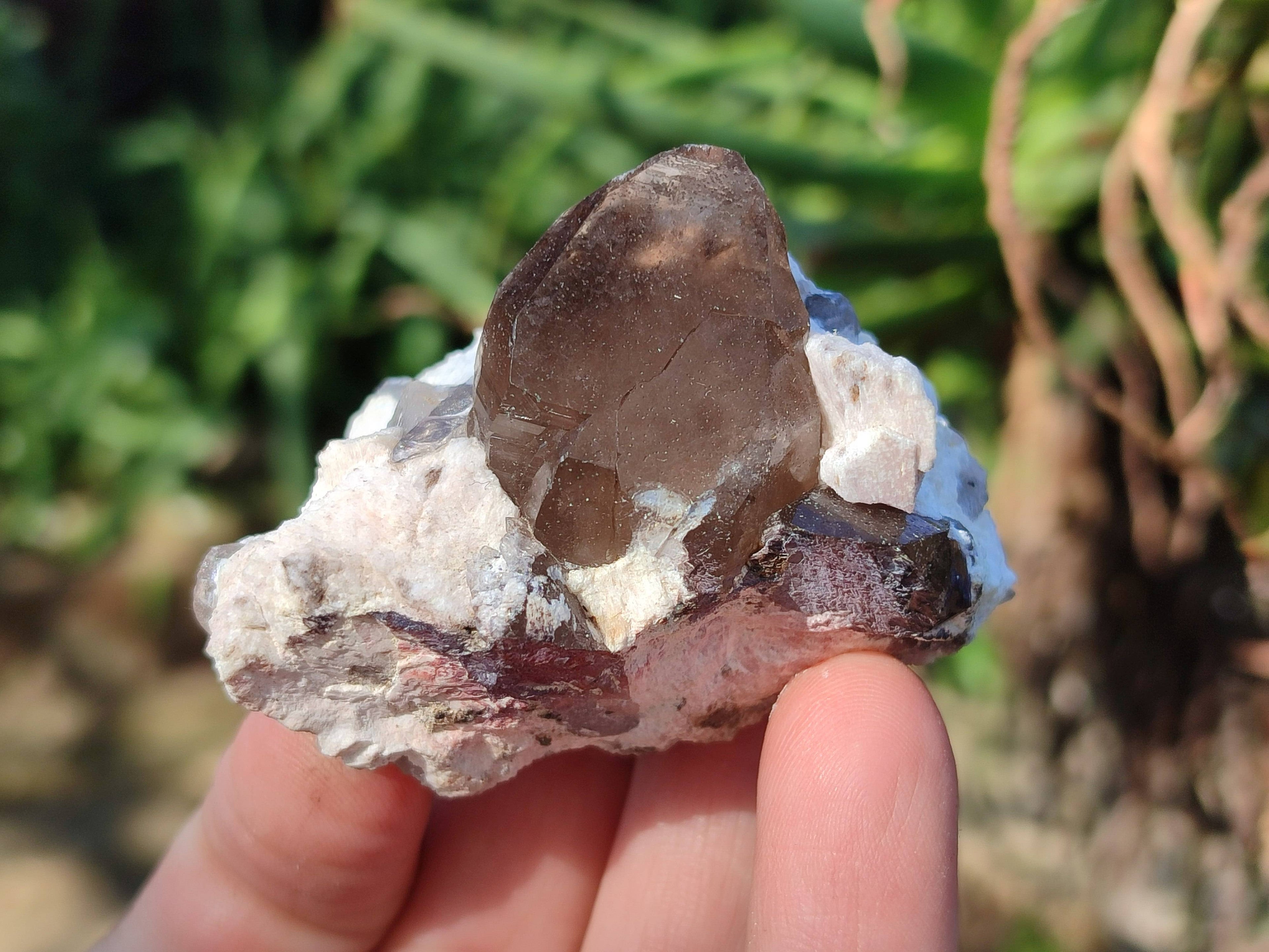 Natural Smokey Quartz Crystals x 13 From Mulanje, Malawi - Toprock Gemstones and Minerals 