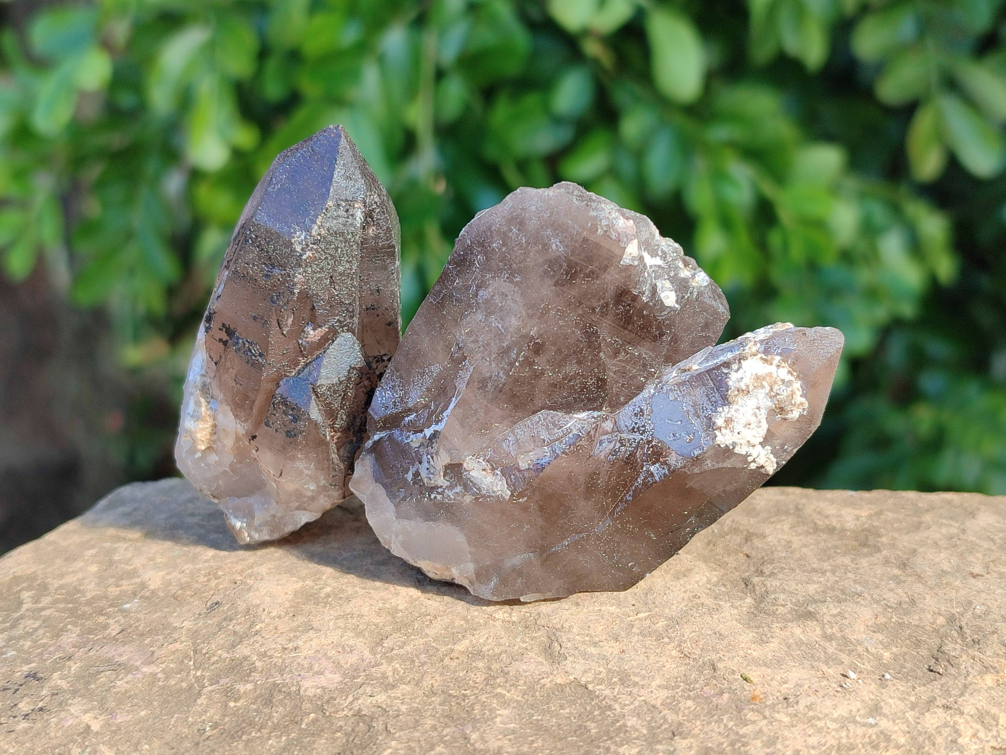 Natural Smokey Quartz Crystals x 13 From Mulanje, Malawi - Toprock Gemstones and Minerals 