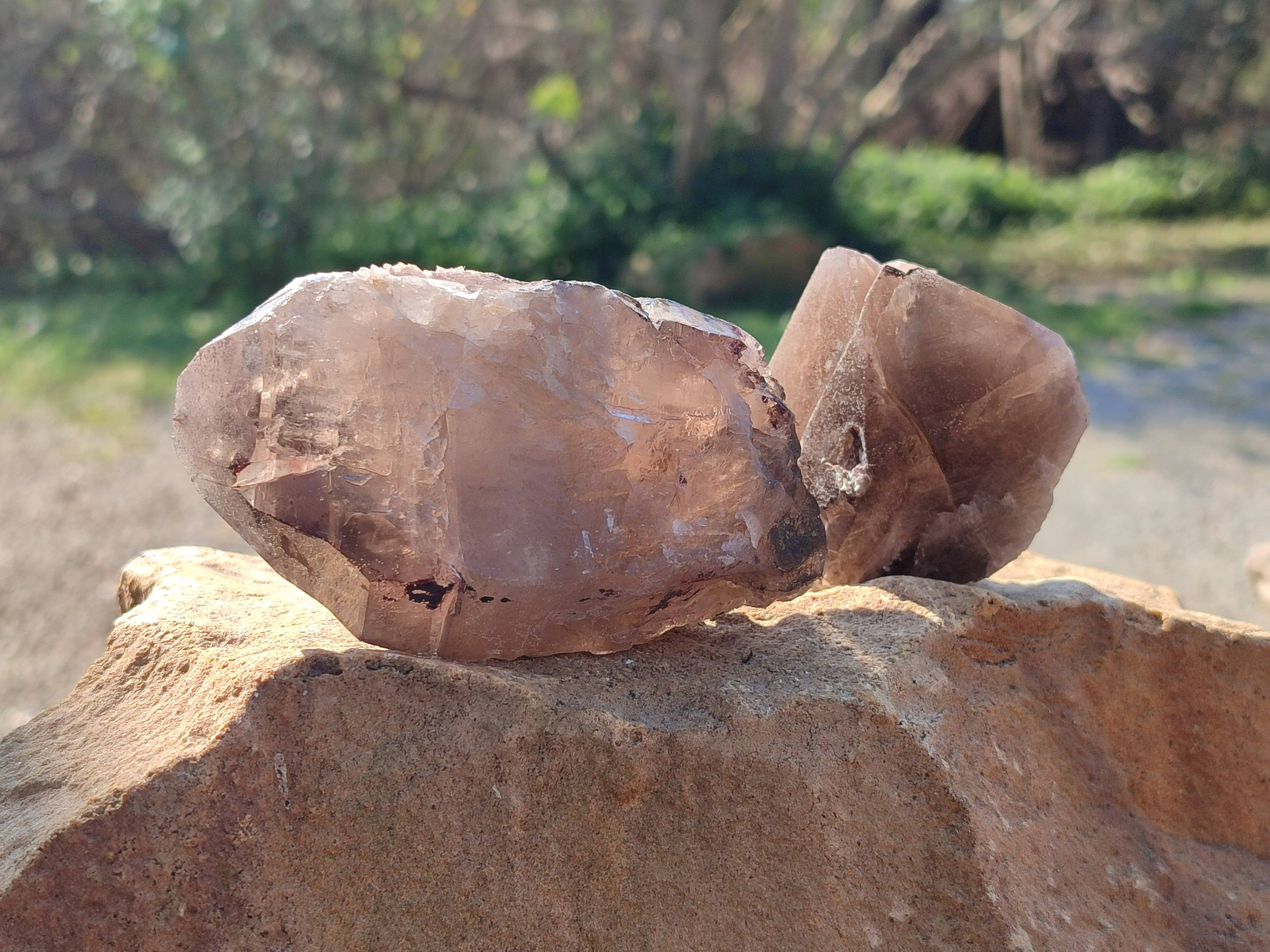 Natural Smokey Quartz Crystals x 13 From Mulanje, Malawi - Toprock Gemstones and Minerals 