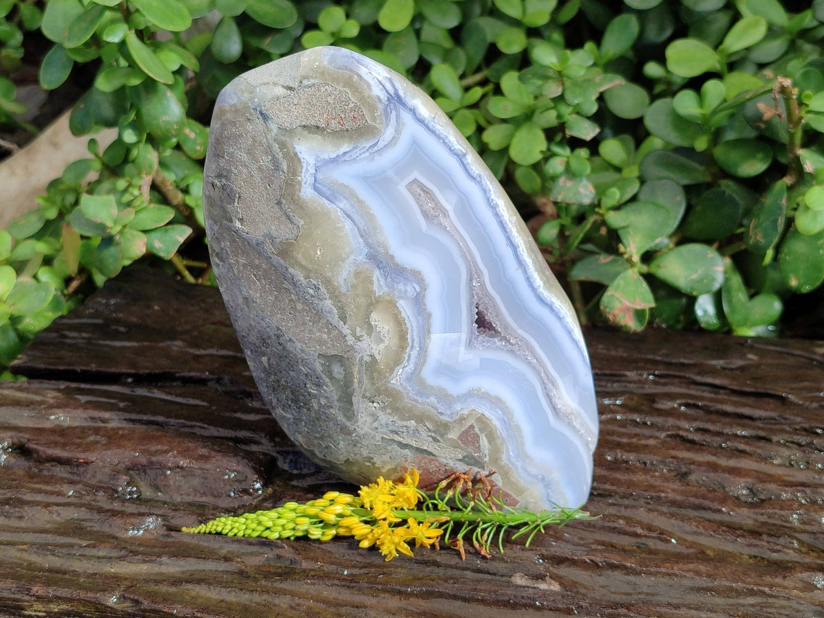 Polished Blue Lace Agate Standing Free Form x 1 From Nsanje, Malawi - Toprock Gemstones and Minerals 