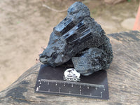 Natural Schorl Black Tourmaline Specimens x 3 From Erongo, Namibia - Toprock Gemstones and Minerals 