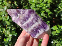 Natural Chevron Amethyst Specimens x 6 From Zambia - Toprock Gemstones and Minerals 