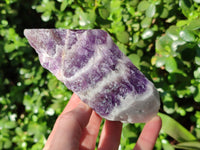 Natural Chevron Amethyst Specimens x 6 From Zambia - Toprock Gemstones and Minerals 