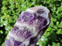 Natural Chevron Amethyst Specimens x 6 From Zambia - Toprock Gemstones and Minerals 
