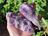 Natural Chevron Amethyst Specimens x 6 From Zambia - Toprock Gemstones and Minerals 