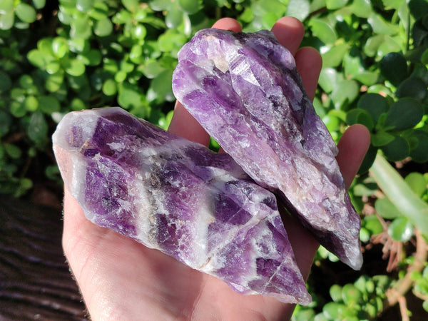 Natural Chevron Amethyst Specimens x 6 From Zambia - Toprock Gemstones and Minerals 