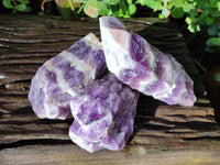Natural Chevron Amethyst Specimens x 6 From Zambia - Toprock Gemstones and Minerals 