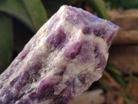 Natural Chevron Amethyst Specimens x 6 From Zambia - Toprock Gemstones and Minerals 