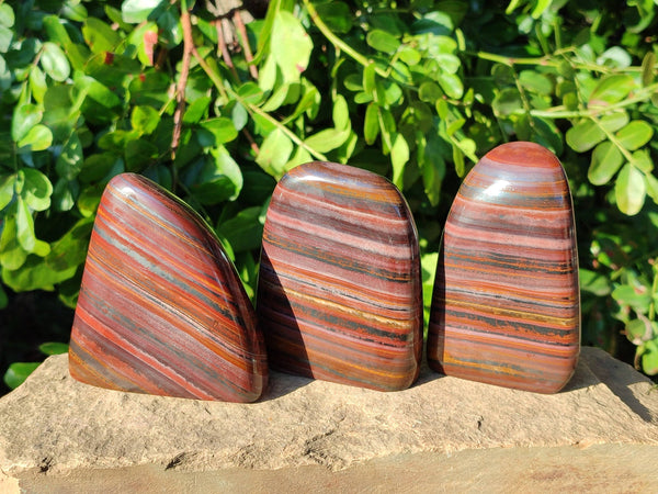 Polished Banded Tiger Iron Standing Free Forms x 3 From South Africa - Toprock Gemstones and Minerals 