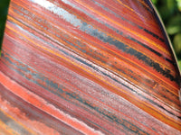 Polished Banded Tiger Iron Standing Free Forms x 3 From South Africa - Toprock Gemstones and Minerals 