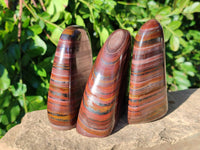 Polished Banded Tiger Iron Standing Free Forms x 3 From South Africa - Toprock Gemstones and Minerals 