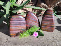 Polished Banded Tiger Iron Standing Free Forms x 3 From South Africa - Toprock Gemstones and Minerals 