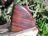 Polished Banded Tiger Iron Standing Free Forms x 3 From South Africa - Toprock Gemstones and Minerals 