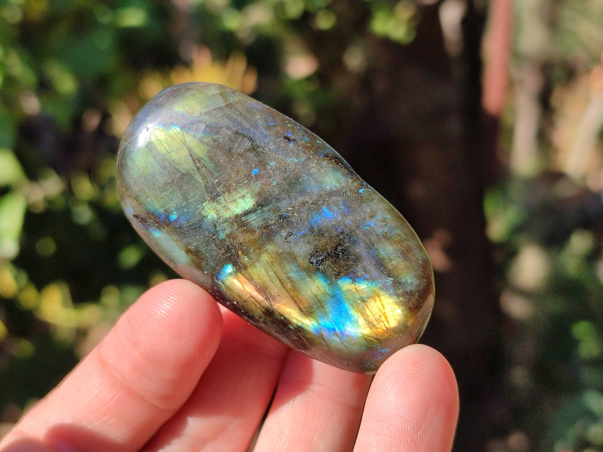 Polished Labradorite Palm Stones x 24 From Tulear, Madagascar - Toprock Gemstones and Minerals 