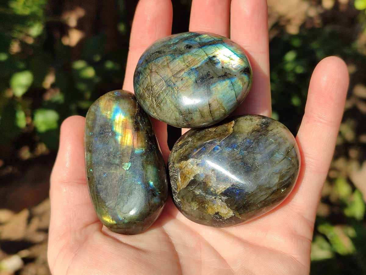 Polished Labradorite Palm Stones x 24 From Tulear, Madagascar - Toprock Gemstones and Minerals 