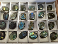Polished Labradorite Palm Stones x 24 From Tulear, Madagascar